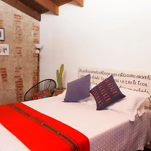 Quetzalroo Hostel